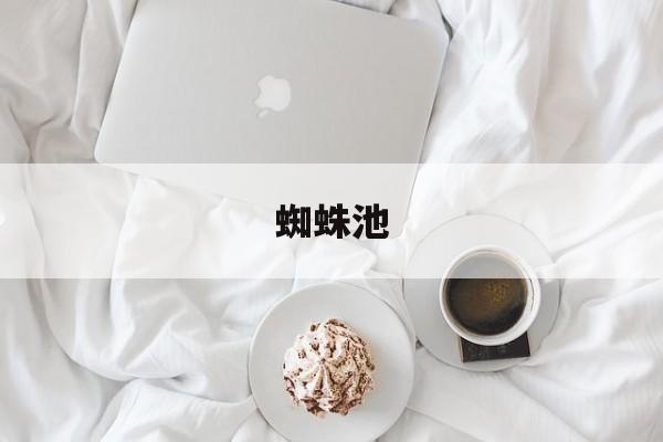 蜘蛛池(蜘蛛池合租稳定不掉线评价)